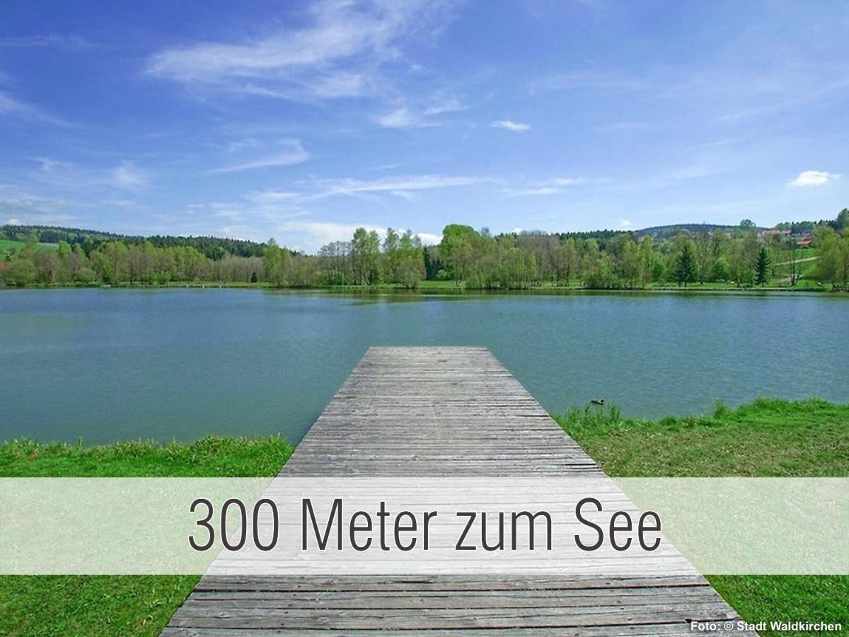 Huette41: Ganze Huette Nah Am See Mit Privatem Whirlpool, Sauna. Umzaeunt. Waldkirchen Dış mekan fotoğraf
