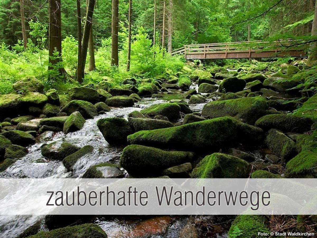 Huette41: Ganze Huette Nah Am See Mit Privatem Whirlpool, Sauna. Umzaeunt. Waldkirchen Dış mekan fotoğraf