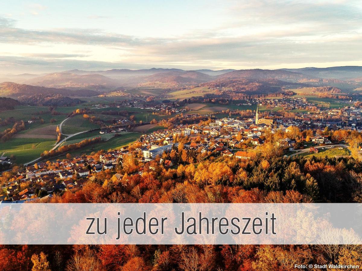 Huette41: Ganze Huette Nah Am See Mit Privatem Whirlpool, Sauna. Umzaeunt. Waldkirchen Dış mekan fotoğraf
