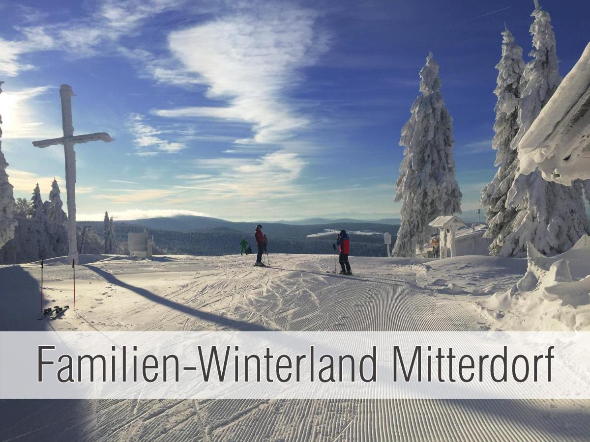 Huette41: Ganze Huette Nah Am See Mit Privatem Whirlpool, Sauna. Umzaeunt. Waldkirchen Dış mekan fotoğraf